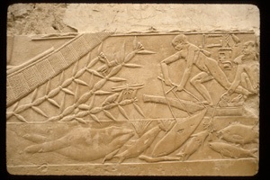 depictions from tombs of Noblemen in Saqqara