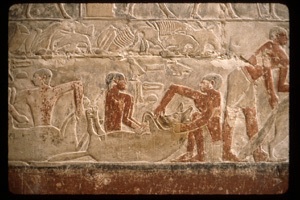 depictions from tombs of Noblemen in Saqqara
